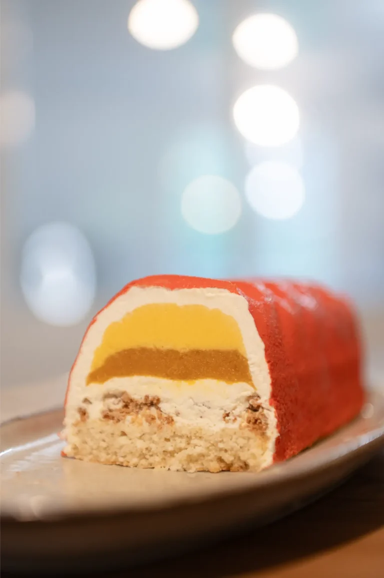 photo buche exotique noel patissiere royan 3